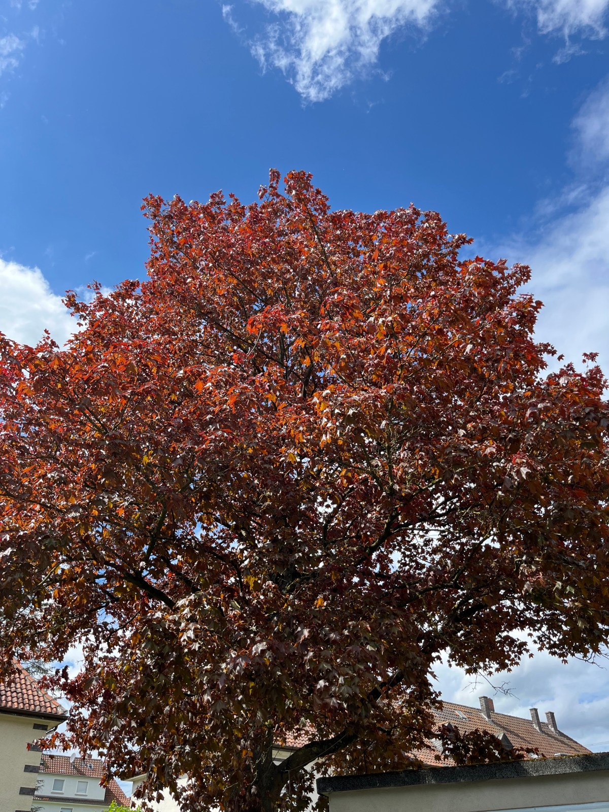 Sommerzeit ist meine beste&nbsp;Jahreszeit.